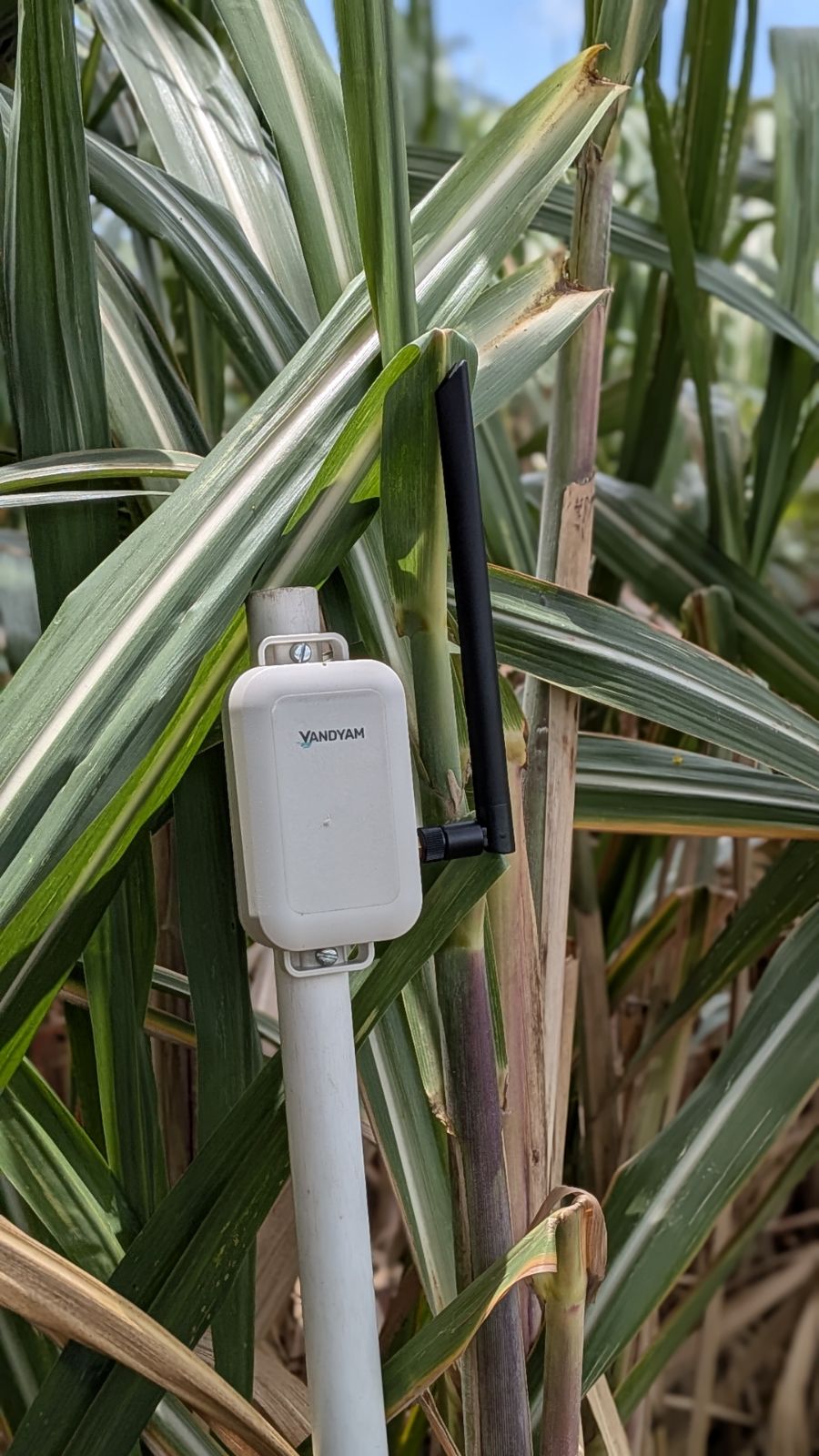 Smart Agriculture